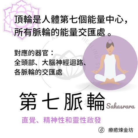 腸胃 脈輪|第三脈輪身心覺察療癒－上：身心靈消化系統、皮膚過。